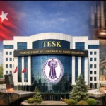 ESNAF VE SANATKARLAR ODALARININ KURUMSAL ÖZELLİKLERİ VE KAMU KURUMU NİTELİĞİ